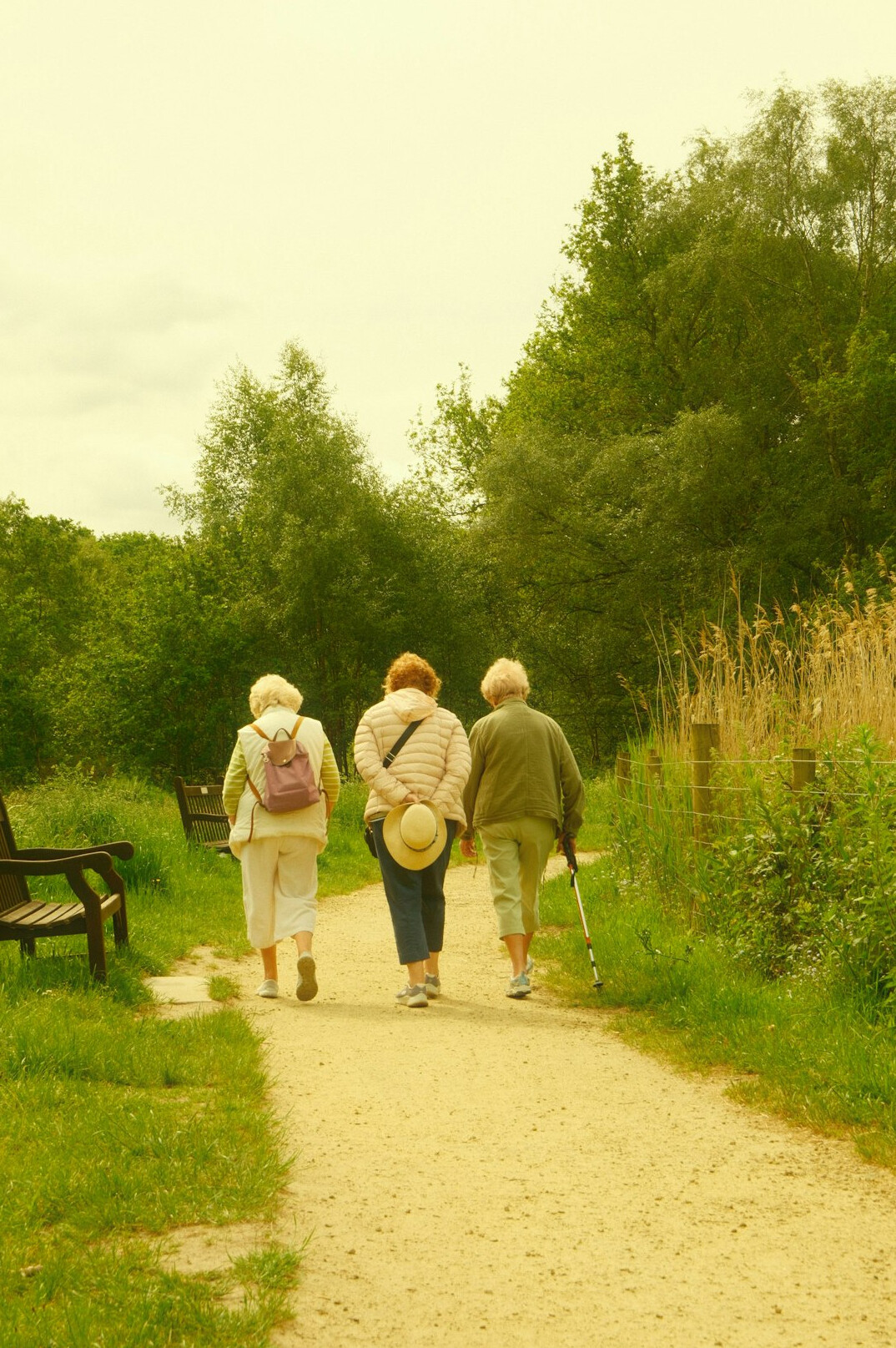 group of seniors walking