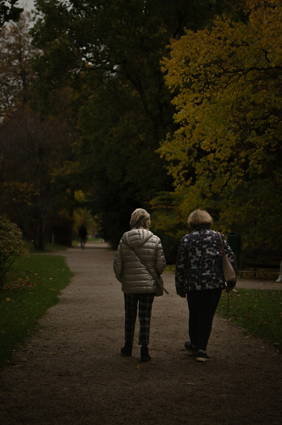 elderly couple walking in park